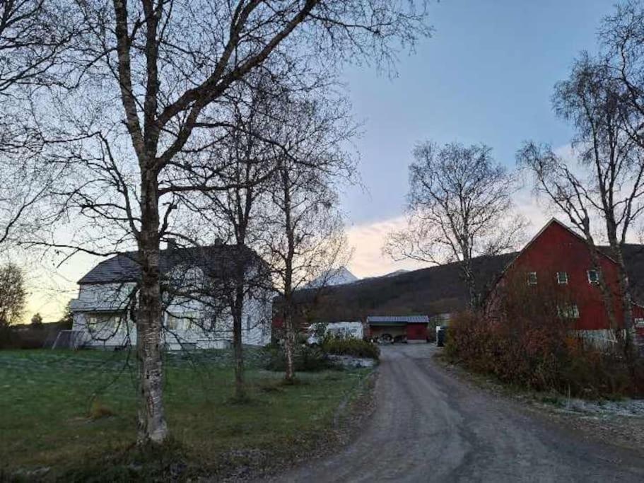 Farmroom With Sauna And Aurora Нарвик Екстериор снимка